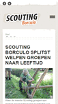 Mobile Screenshot of cycloongroep.nl
